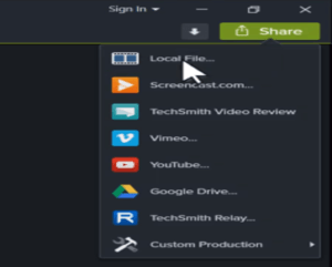 All export options in camtasia