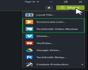 Share options in camtasia